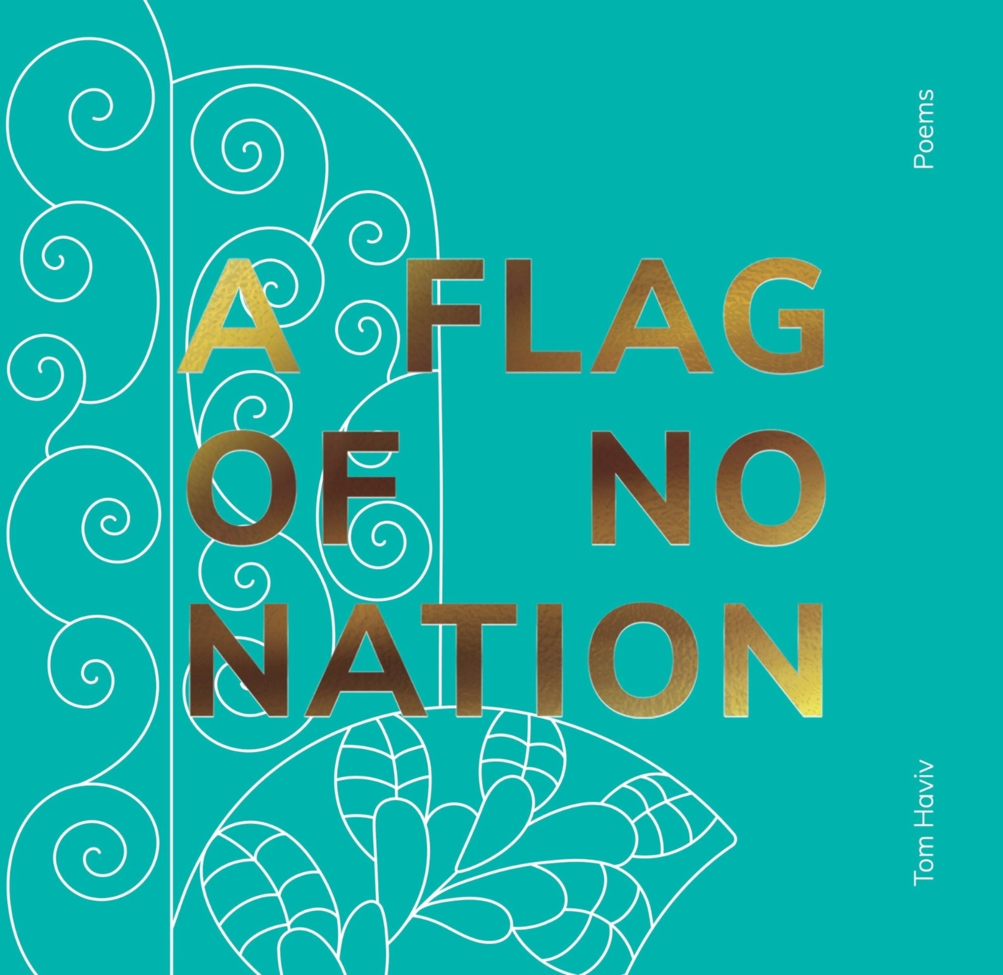 Cover image for A Flag of No Nation ISBN 9781961814059